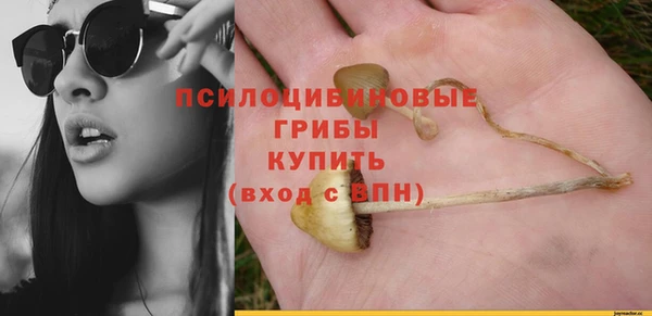 мяу мяу мука Алексеевка