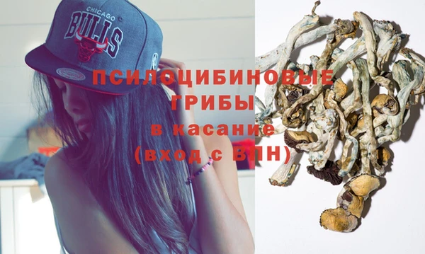 крисы Алзамай